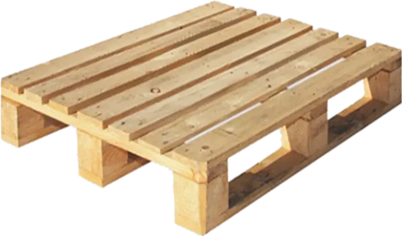 Standart Palet 1